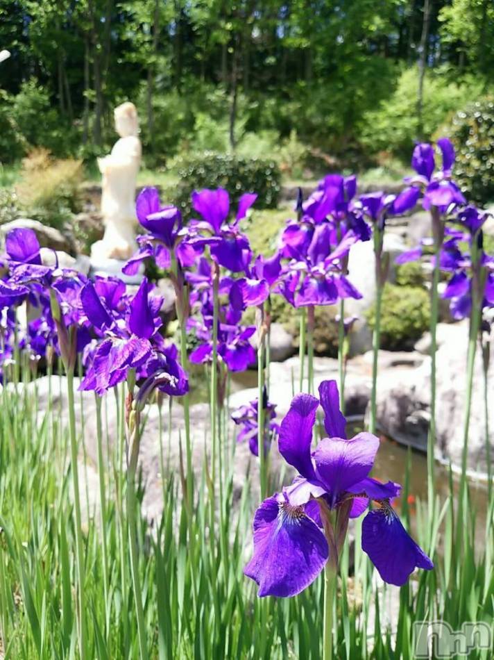 飯田デリヘル(ファイブイイダテン)の2017年6月5日お店速報「6月5日(月)」