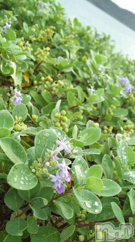 飯田デリヘル(ファイブイイダテン)の2017年7月2日お店速報「7月2日(日)」