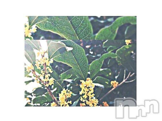 飯田デリヘル(ファイブイイダテン)の2017年10月2日お店速報「10月2日(月)」