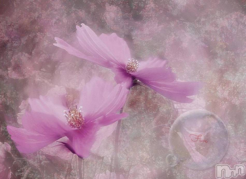 飯田デリヘル(ファイブイイダテン)の2017年10月11日お店速報「10月11日(水)」