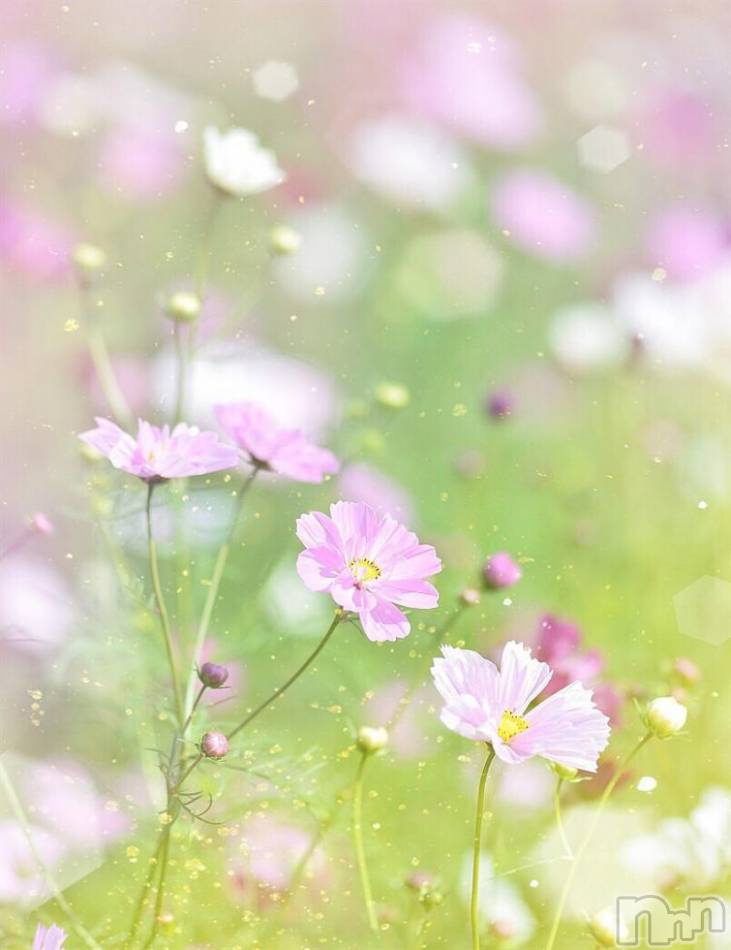 飯田デリヘル(ファイブイイダテン)の2017年11月9日お店速報「11月9日(木)」