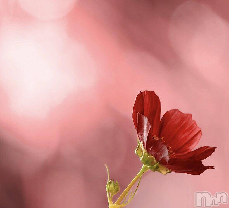 飯田デリヘル(ファイブイイダテン)の2017年11月13日お店速報「11月13日(月)」