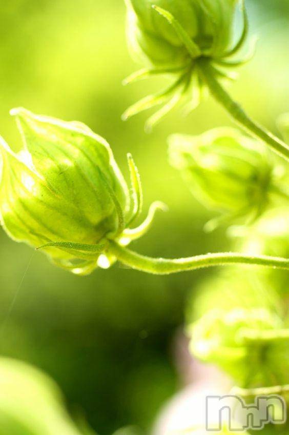 飯田デリヘル(ファイブイイダテン)の2018年6月16日お店速報「6月16日(土)」