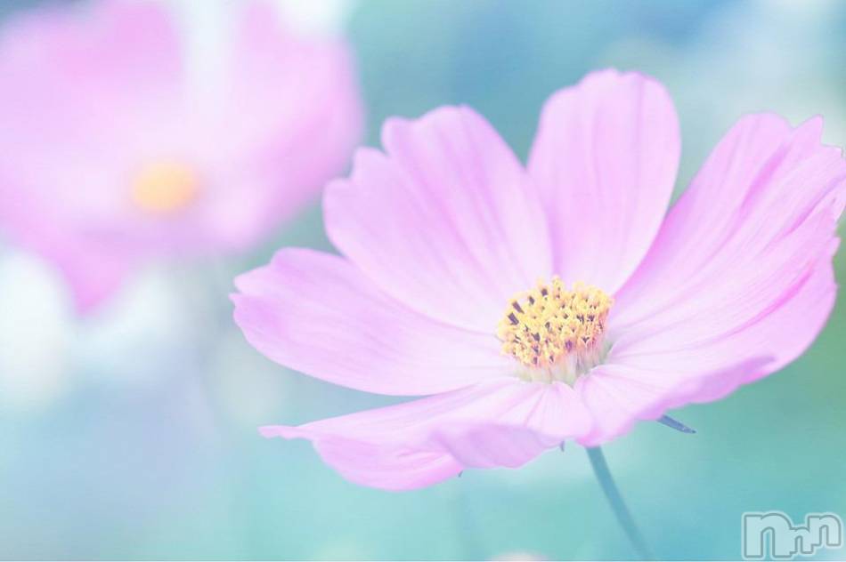 飯田デリヘル(ファイブイイダテン)の2018年9月13日お店速報「9月13日(木)」