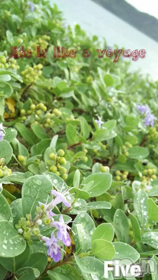 飯田デリヘル(ファイブイイダテン)の2018年9月20日お店速報「9月20日(木)」