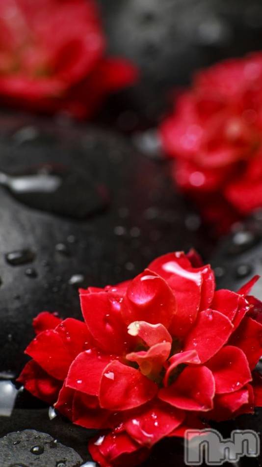 飯田デリヘル(ファイブイイダテン)の2018年12月19日お店速報「12月19日(水)」