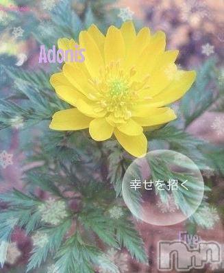 飯田デリヘル(ファイブイイダテン)の2019年2月8日お店速報「2月8日(金)」