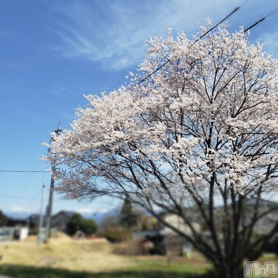 飯田デリヘル(ファイブイイダテン)の2022年4月6日お店速報「4月6日 17時00分のお店速報」