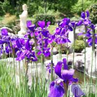 飯田デリヘル Five 飯田店(ファイブイイダテン)の6月5日お店速報「6月5日(月)」