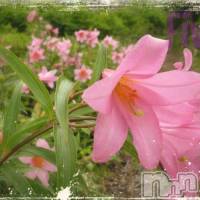 飯田デリヘル Five 飯田店(ファイブイイダテン)の6月23日お店速報「6月23日(金)」