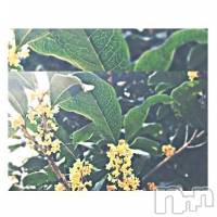 飯田デリヘル Five 飯田店(ファイブイイダテン)の10月2日お店速報「10月2日(月)」