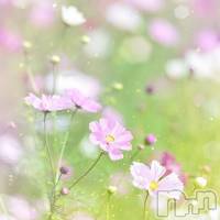 飯田デリヘル Five 飯田店(ファイブイイダテン)の11月9日お店速報「11月9日(木)」