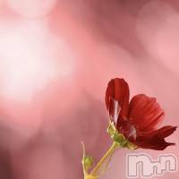 飯田デリヘル Five 飯田店(ファイブイイダテン)の11月13日お店速報「11月13日(月)」