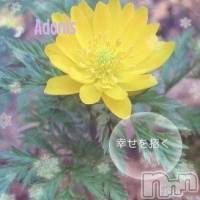 飯田デリヘル Five 飯田店(ファイブイイダテン)の2月4日お店速報「2月4日(日)」