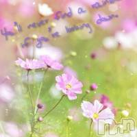 飯田デリヘル Five 飯田店(ファイブイイダテン)の5月12日お店速報「5月12日(土)」