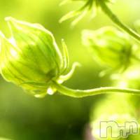 飯田デリヘル Five 飯田店(ファイブイイダテン)の5月27日お店速報「5月27日(日)」