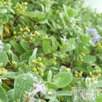 飯田デリヘル Five 飯田店(ファイブイイダテン)の9月20日お店速報「9月20日(木)」