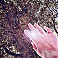 飯田デリヘル Five 飯田店(ファイブイイダテン)の11月4日お店速報「11月4日(日)」