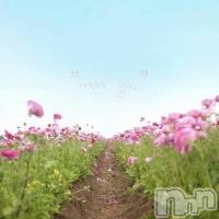 飯田デリヘル Five 飯田店(ファイブイイダテン)の11月24日お店速報「11月24日(土)」