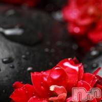 飯田デリヘル Five 飯田店(ファイブイイダテン)の12月19日お店速報「12月19日(水)」