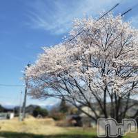 飯田デリヘル Five 飯田店(ファイブイイダテン)の4月6日お店速報「4月6日 17時00分のお店速報」