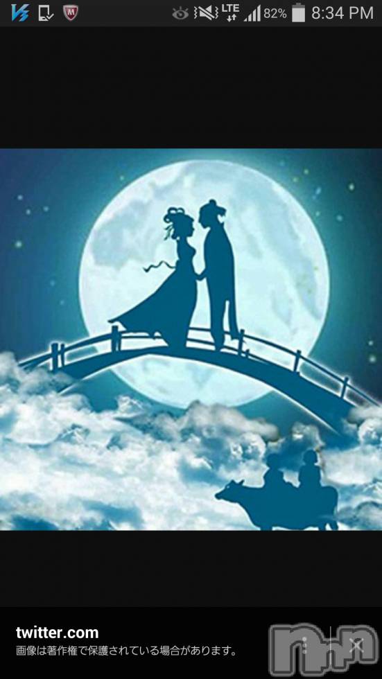 ƲХ顦֥ ץ Ĺ( ץ ʥ) 2015ǯ77̥֥֤ѥ