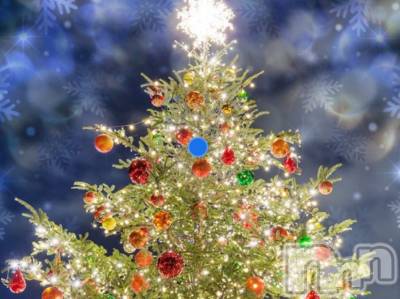 ƲХ顦֥ ץ Ĺ( ץ ʥ) Ⱦ1225̥֥֤ѥ