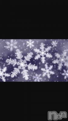 ƲХ顦֥ ץ Ĺ( ץ ʥ) Ⱦ1220̥֥֤ѥ