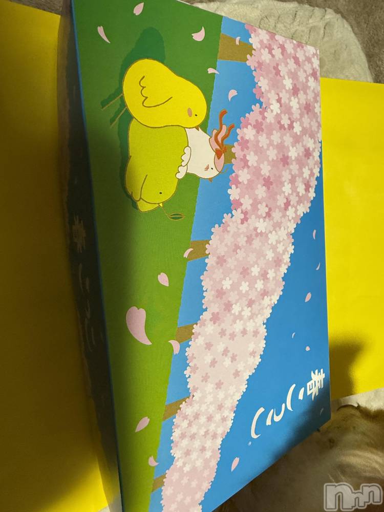 ĮХ顦֥ ץ ( ץ ) ߤ312̥֥֡