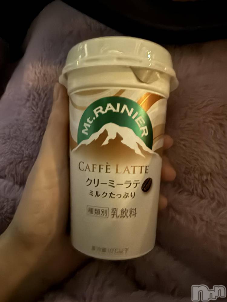 ĮХ顦֥ ץ ( ץ ) ߤ313̥֥֡
