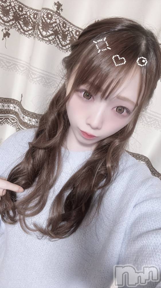 ĮХ顦֥ ץ ( ץ ) ߤ313̥֥֡