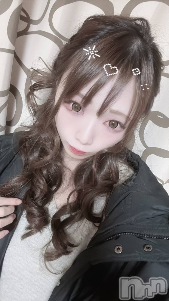 ĮХ顦֥ ץ ( ץ ) ߤ315̥֥֡