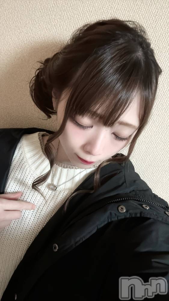 ĮХ顦֥ ץ ( ץ ) ߤ323̥֥֡