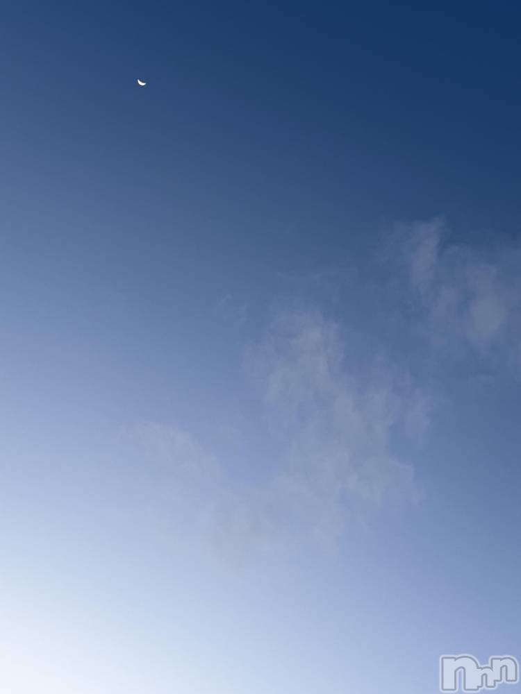 ĮХ顦֥ ץ ( ץ ) ߤ44̥֥֡
