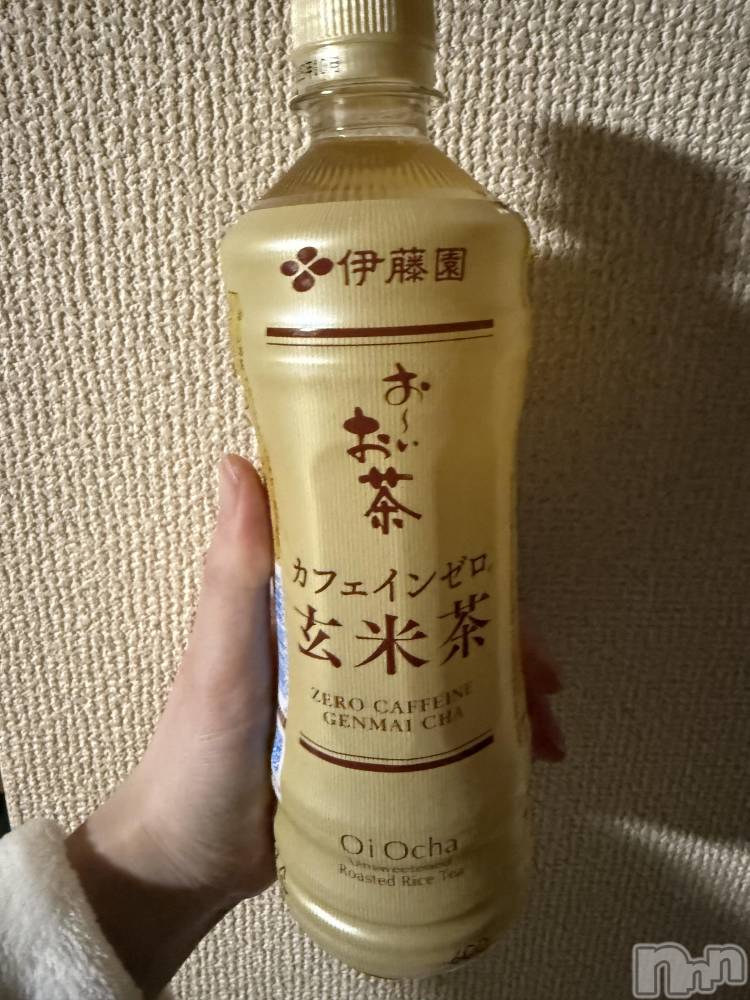 ĮХ顦֥ ץ ( ץ ) ߤ48̥֥֡