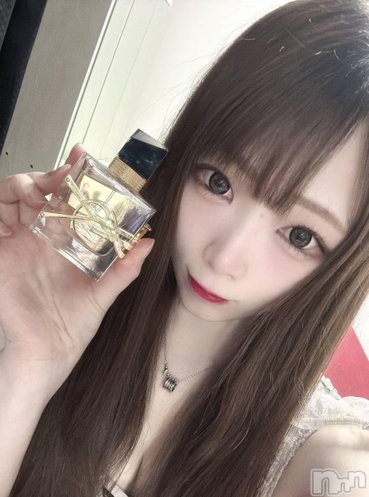 ĮХ顦֥ ץ ( ץ ) ߤ410̥֥֡
