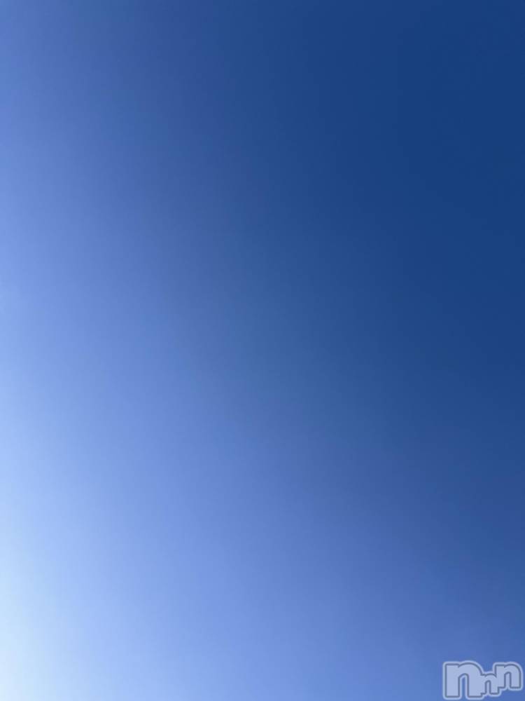 ĮХ顦֥ ץ ( ץ ) ߤ413̥֥֡