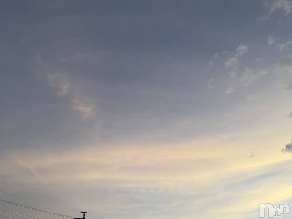 ĮХ顦֥ ץ ( ץ ) ߤ520̥֥֡