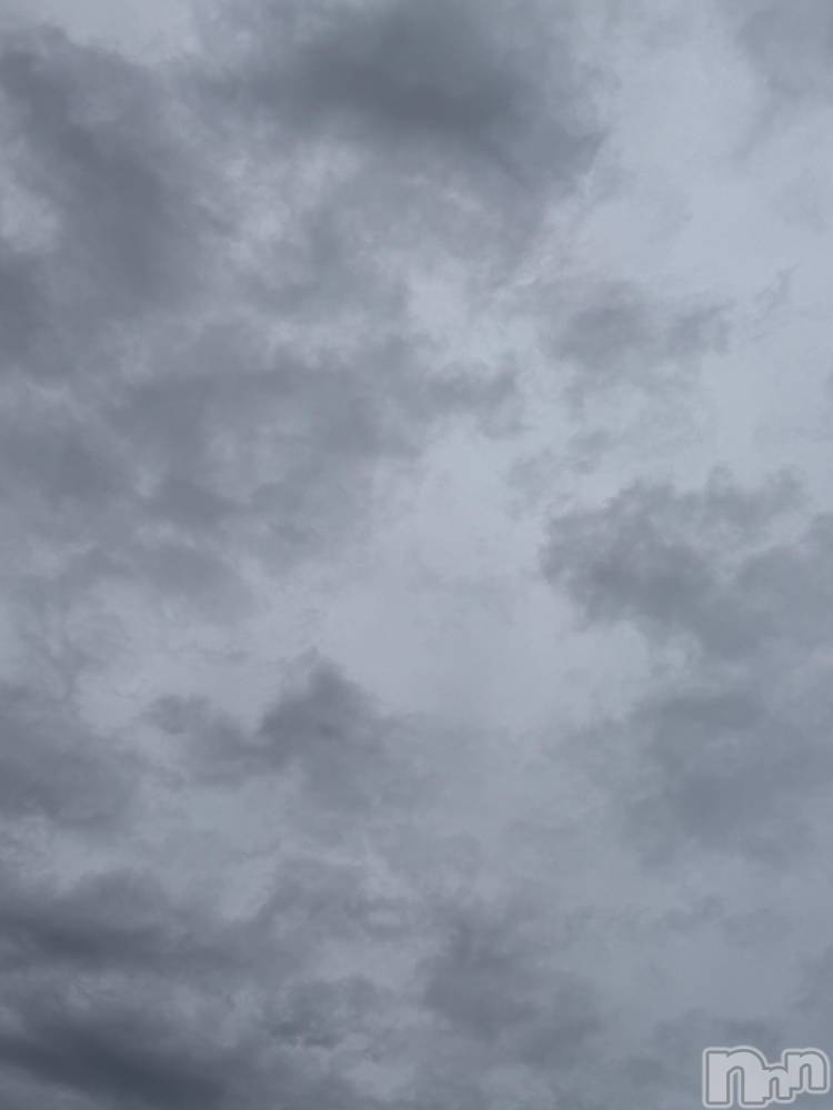 ĮХ顦֥ ץ ( ץ ) ߤ527̥֥֡