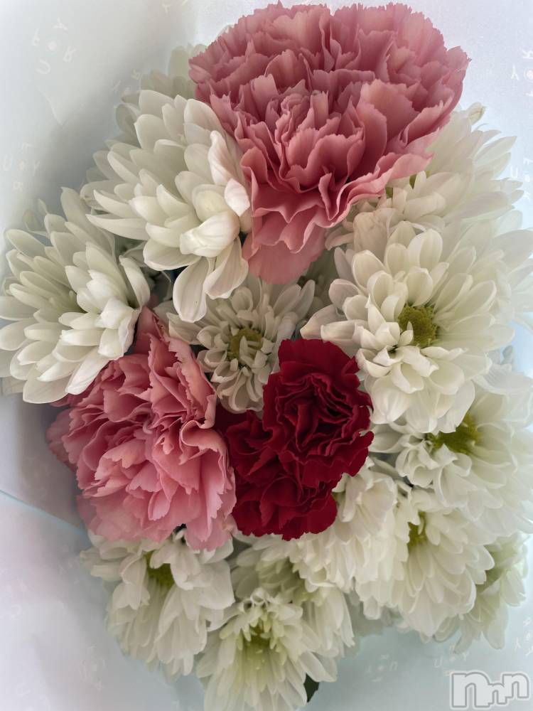 ĮХ顦֥ ץ ( ץ ) ߤ61̥֥֡