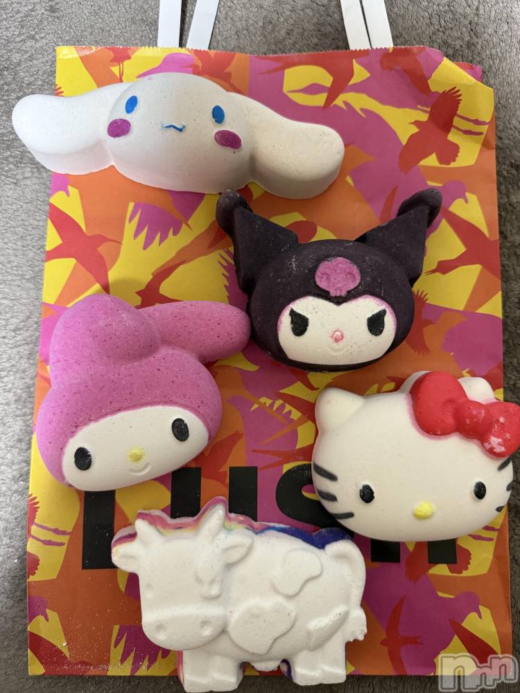 ĮХ顦֥ ץ ( ץ ) ߤ610̥֥֡