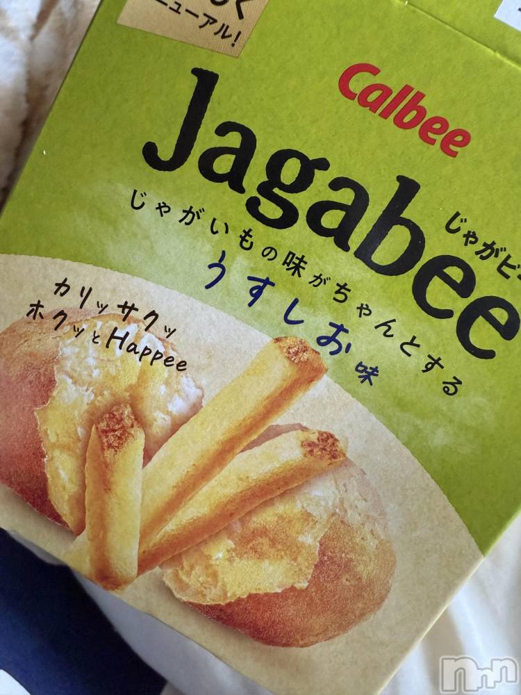 ĮХ顦֥ ץ ( ץ ) ߤ630̥֥֡