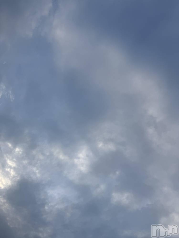 ĮХ顦֥ ץ ( ץ ) ߤ76̥֥֡