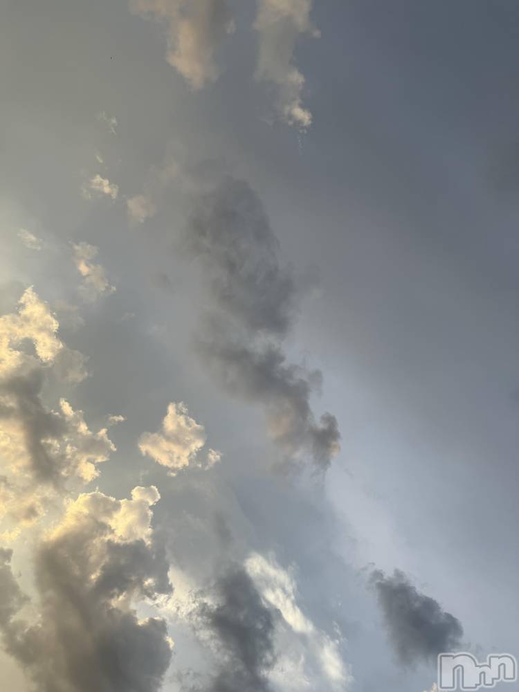 ĮХ顦֥ ץ ( ץ ) ߤ726̥֥֡