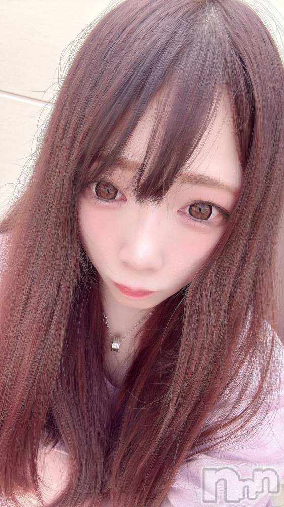 ĮХ顦֥ ץ ( ץ ) ߤ817̥֥֡
