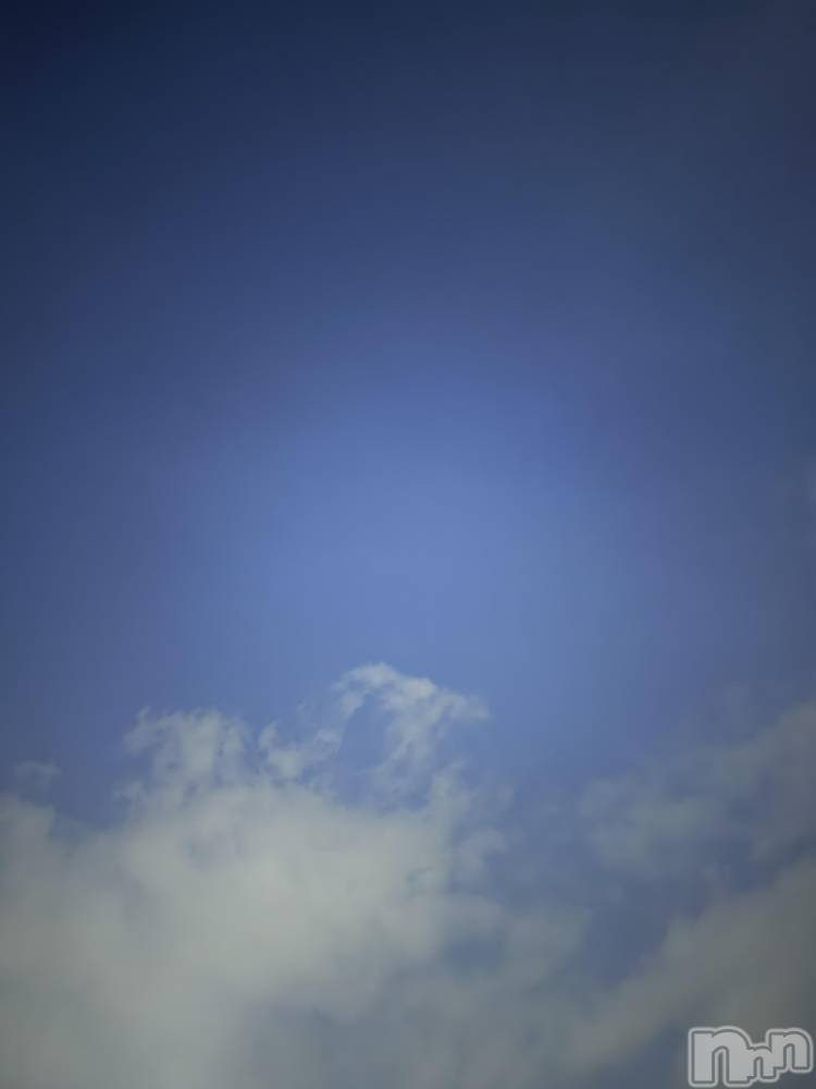 ĮХ顦֥ ץ ( ץ ) ߤ910̥֥֡