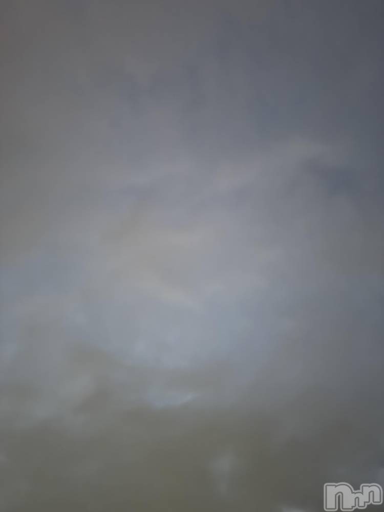 ĮХ顦֥ ץ ( ץ ) ߤ917̥֥֡