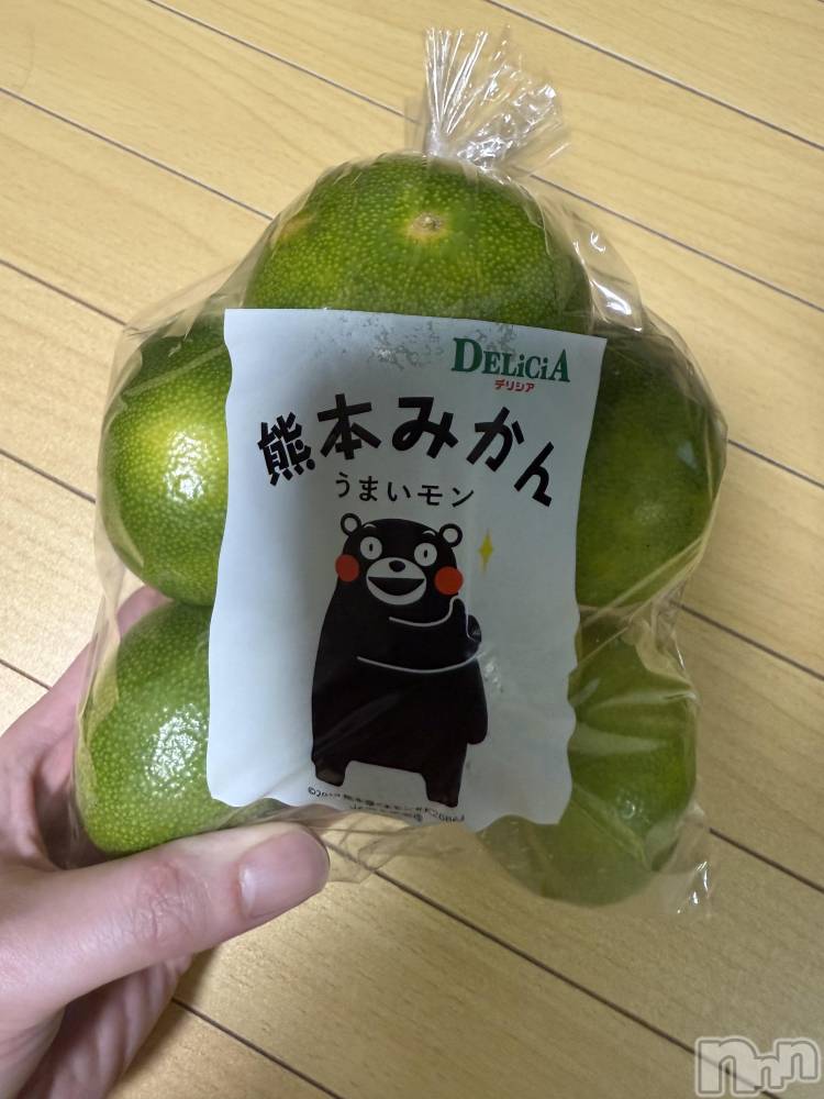 ĮХ顦֥ ץ ( ץ ) ߤ922̥֥֡