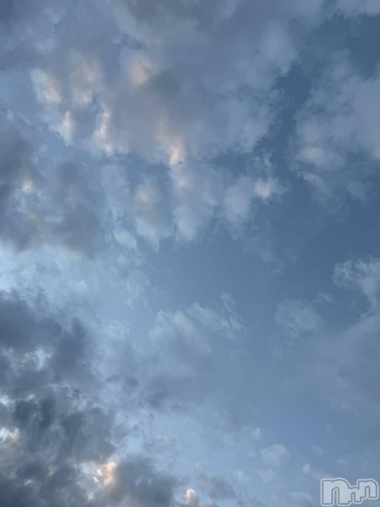 ĮХ顦֥ ץ ( ץ ) ߤ925̥֥֡