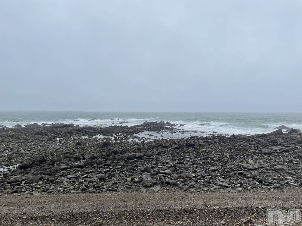 ĮХ顦֥ ץ ( ץ ) ߤ926̥֥֡